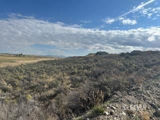 539 Palace Parkway Property Photo 1