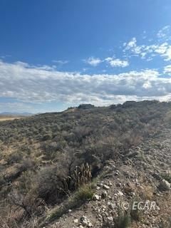 539 Palace Parkway Property Photo 3