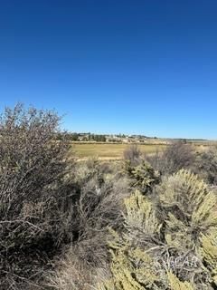 539 Palace Parkway Property Photo 4