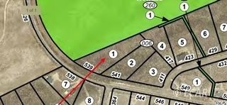 539 Palace Parkway Property Photo 6