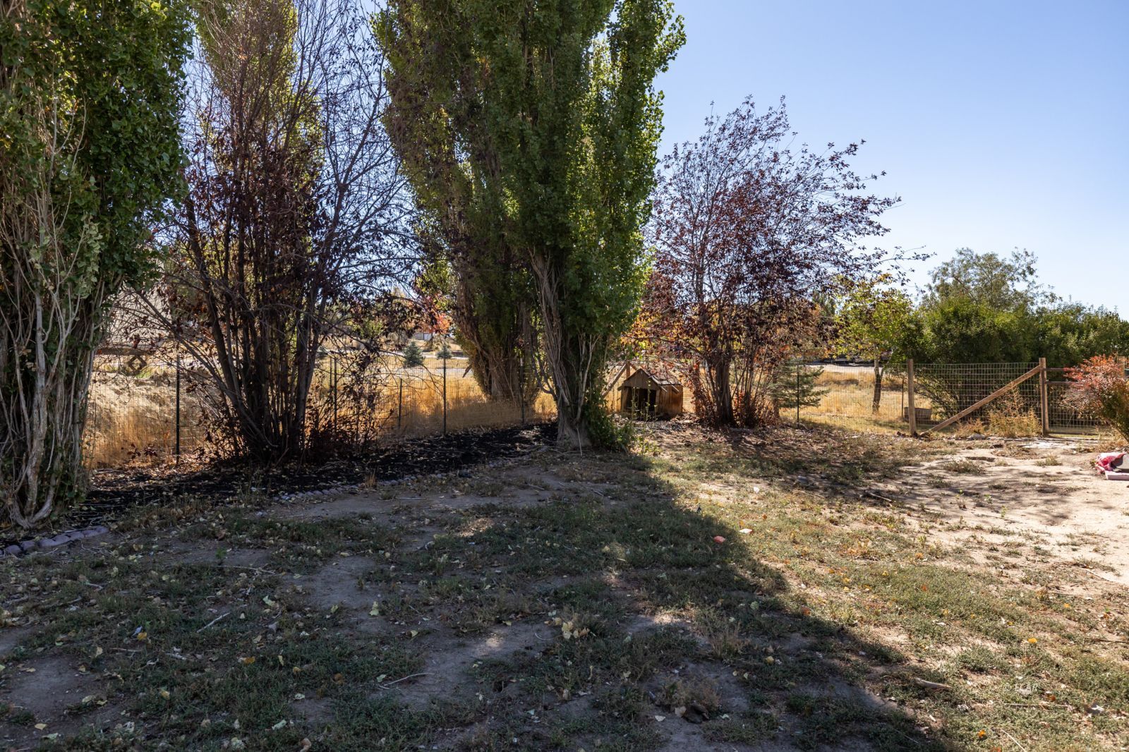 319 Blakeland Drive Property Photo 29
