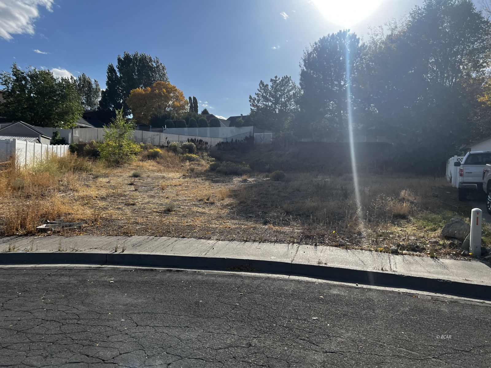 1931 Laxalt Way Property Photo 2