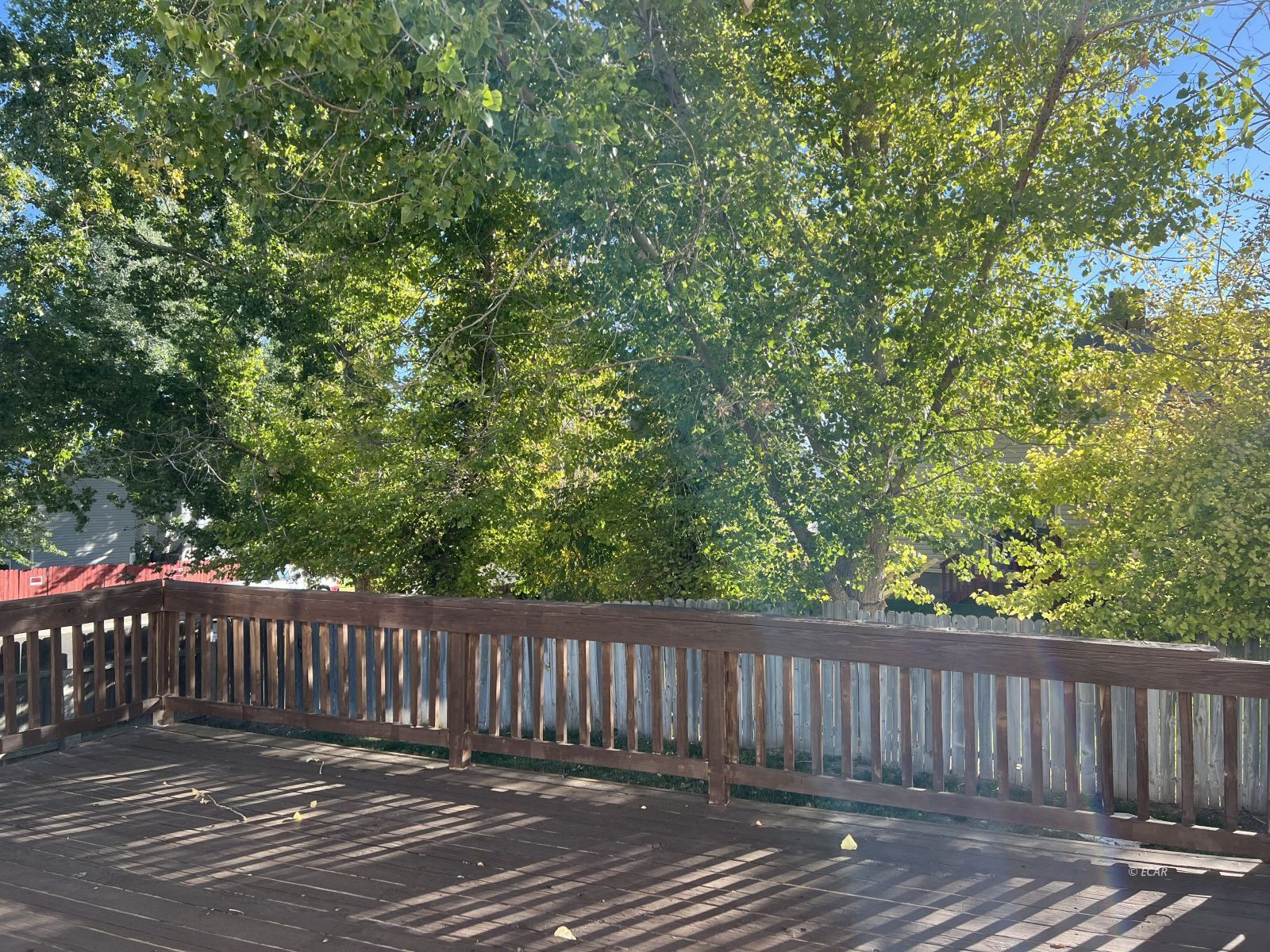 1415 Connolly Drive Property Photo 8