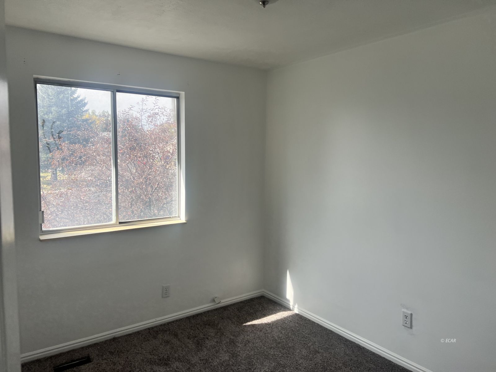 1415 Connolly Drive Property Photo 18