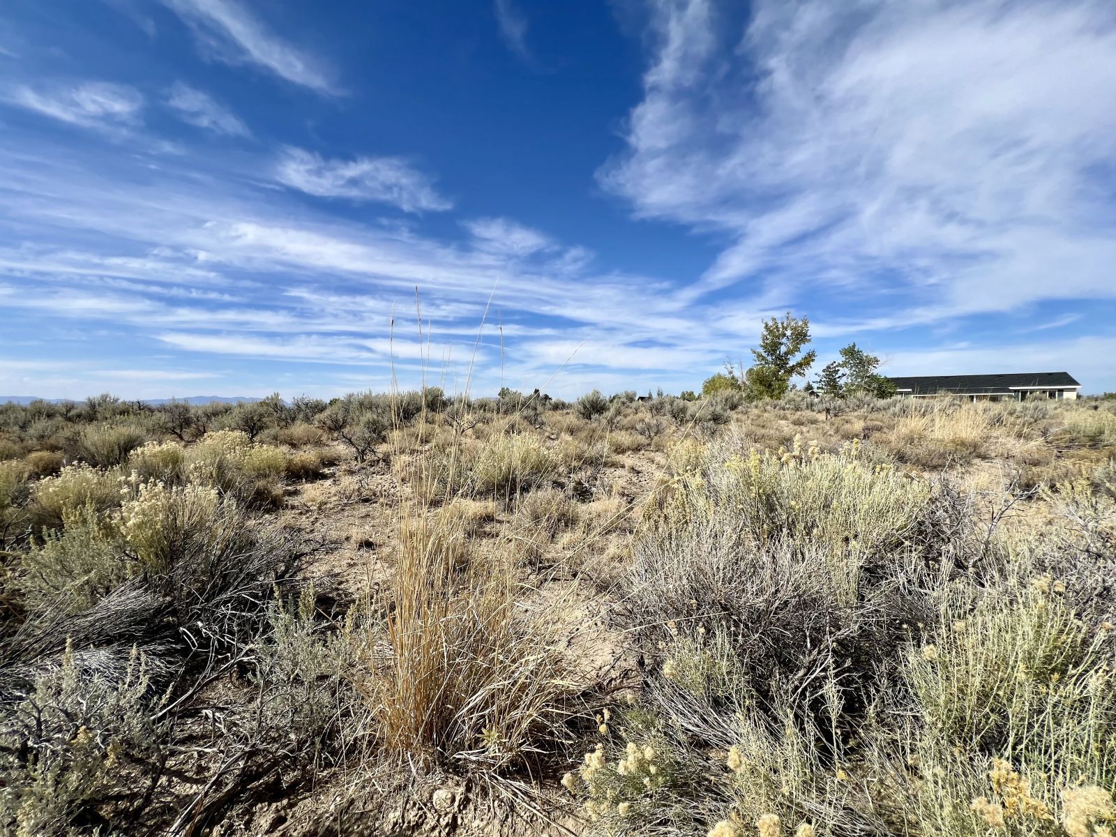 991 Wolf Creek Lane Property Photo