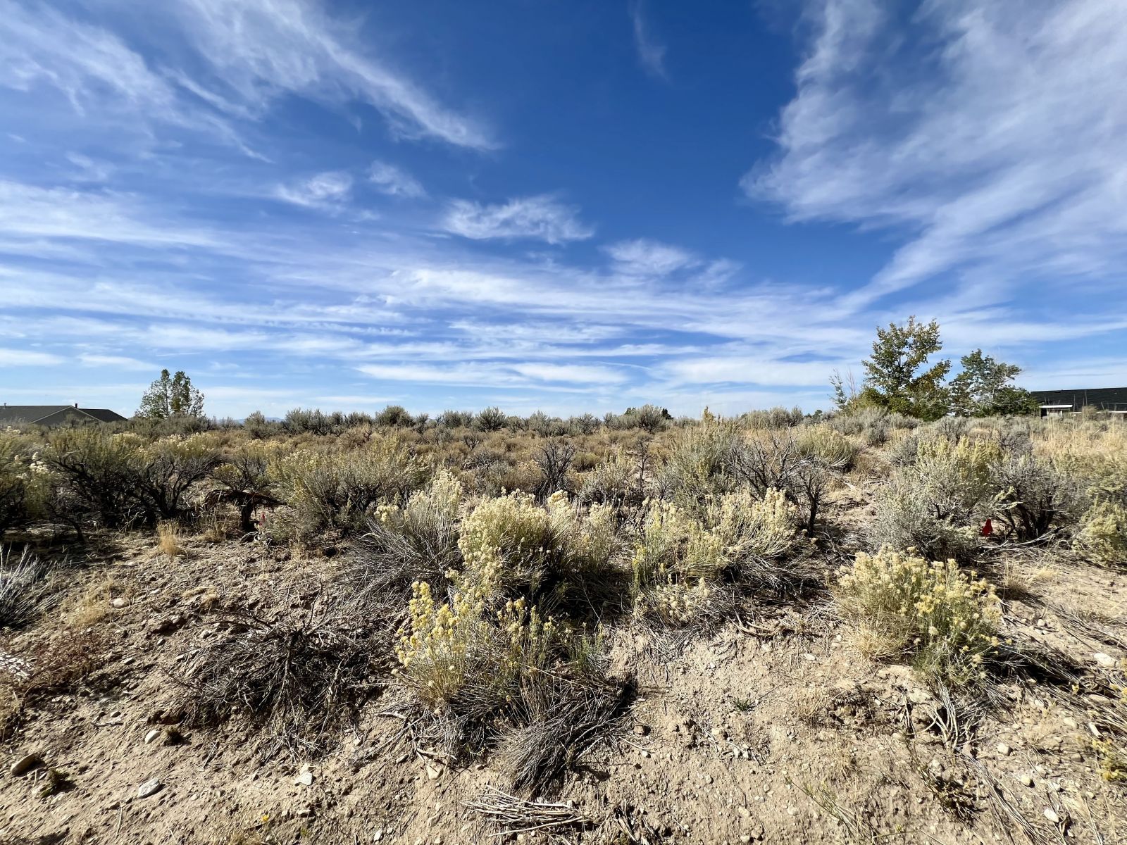 991 Wolf Creek Lane Property Photo 3