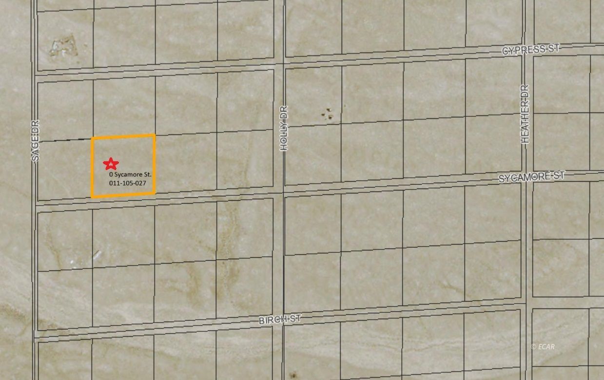 Sycamore Street Property Photo 5