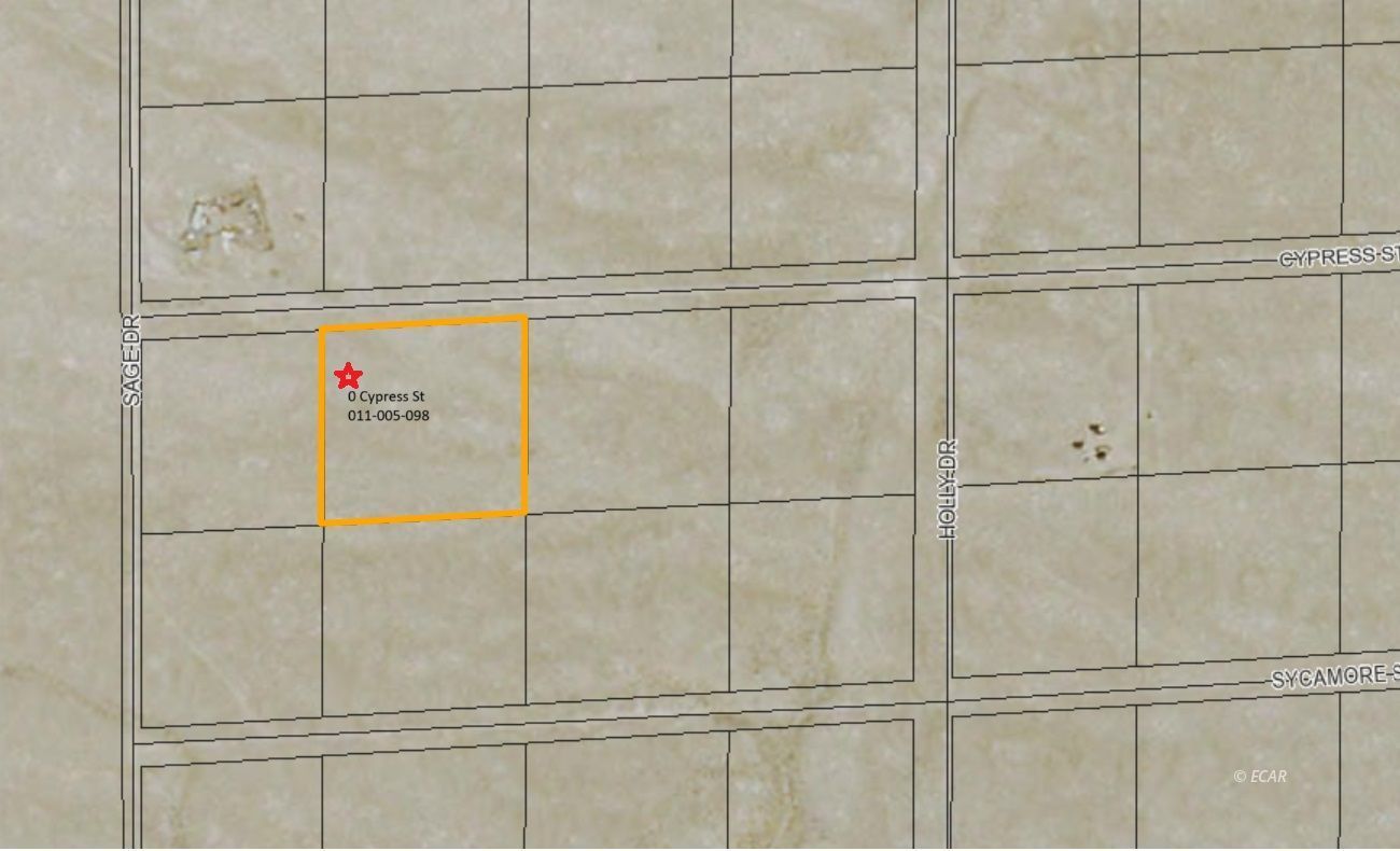 Cypress Street Property Photo 4