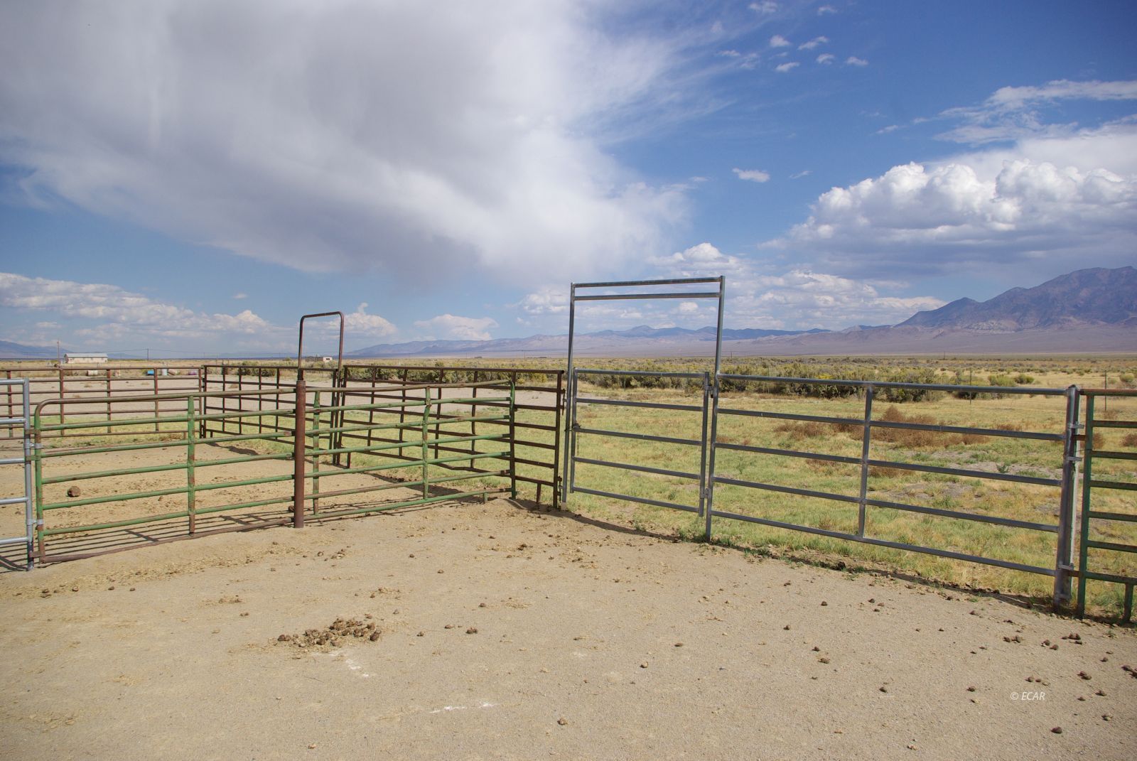 451 Manley Ranch Road Property Photo 46