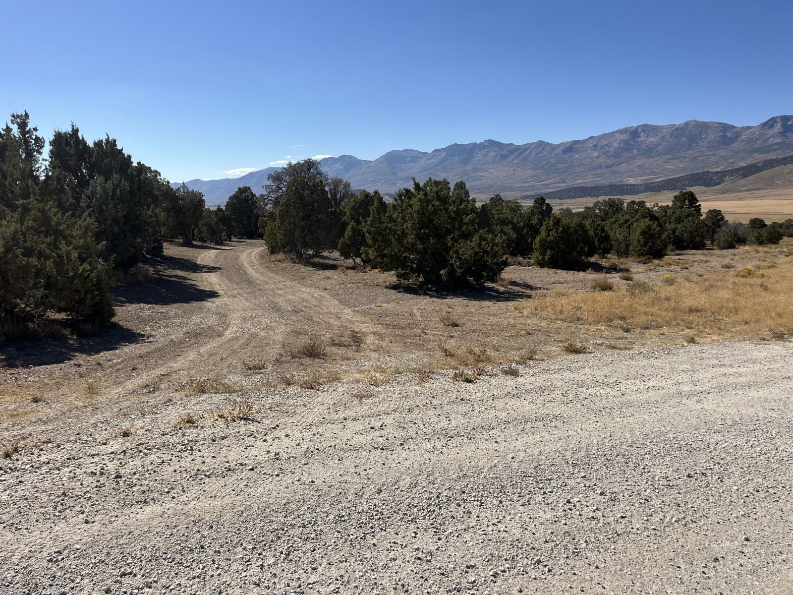Rainbow Road Property Photo 6