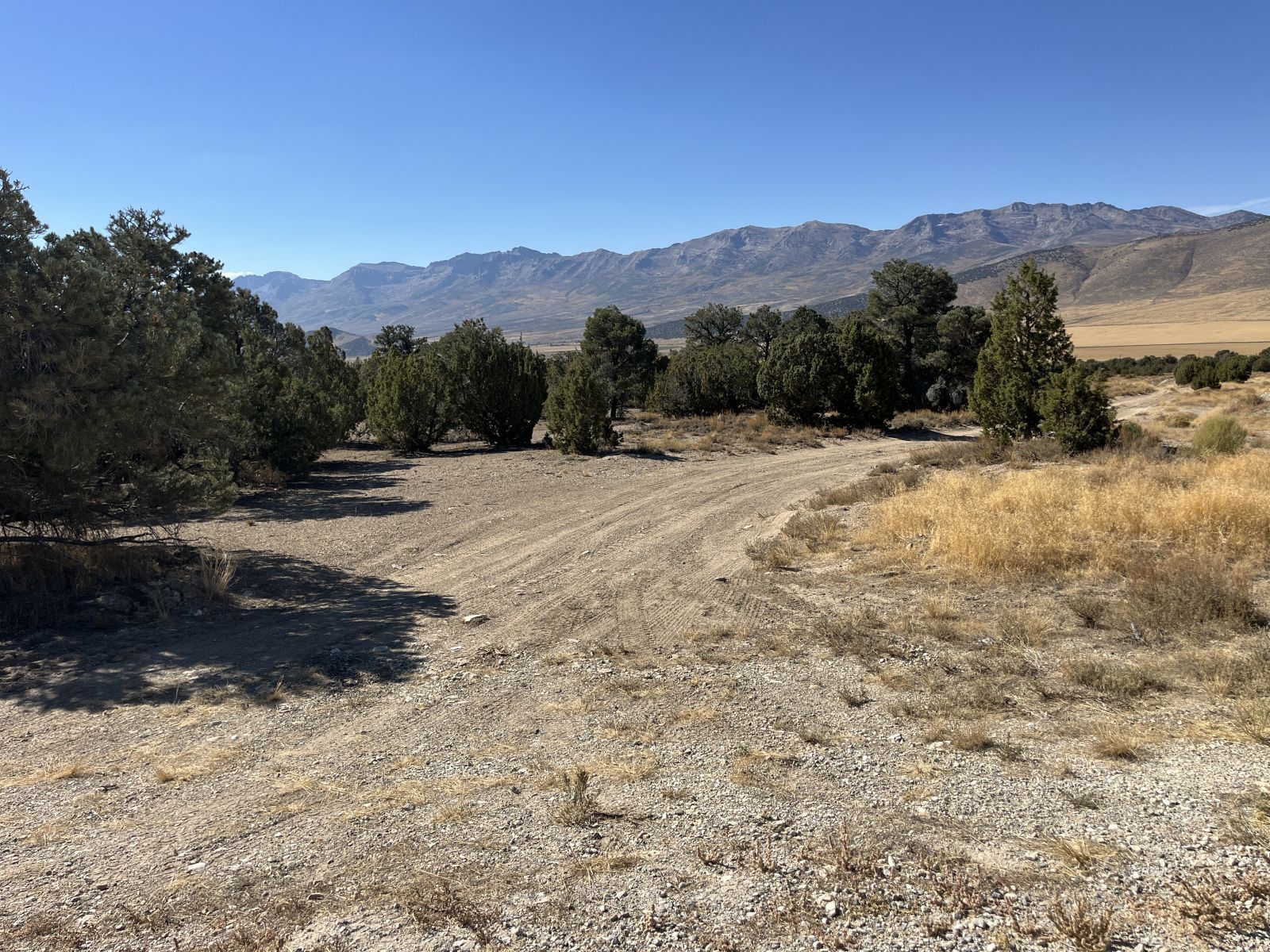 Rainbow Road Property Photo 19