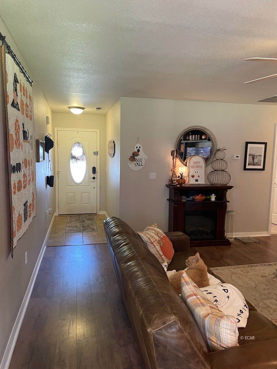 668 Baker Street Property Photo 6