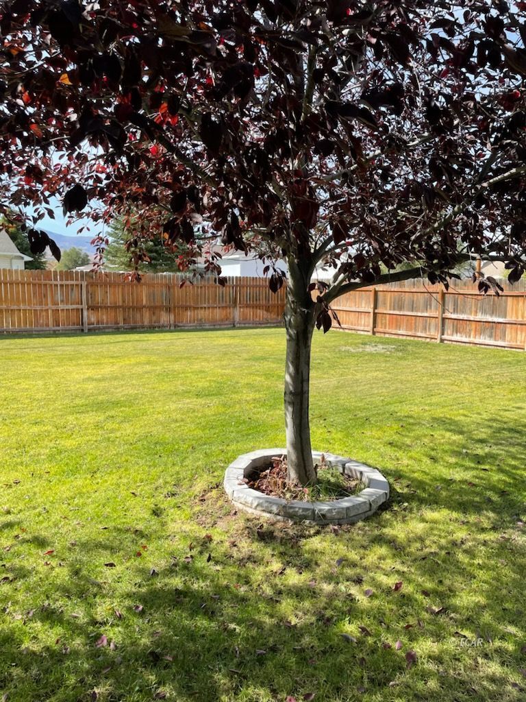 668 Baker Street Property Photo 27