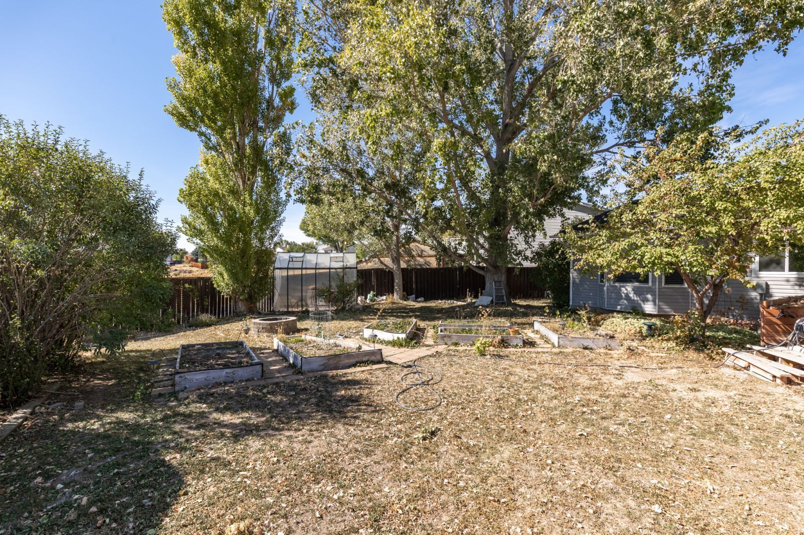 1423 Connolly Drive Property Photo 37