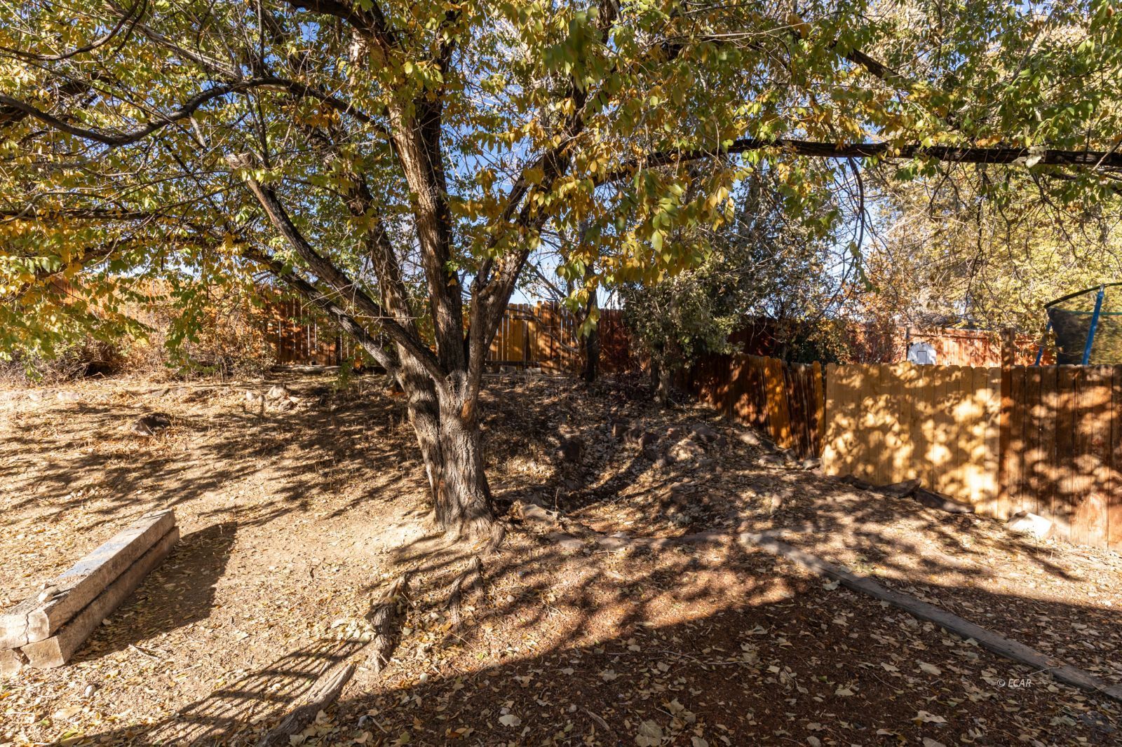 3399 Enfield Avenue Property Photo 24