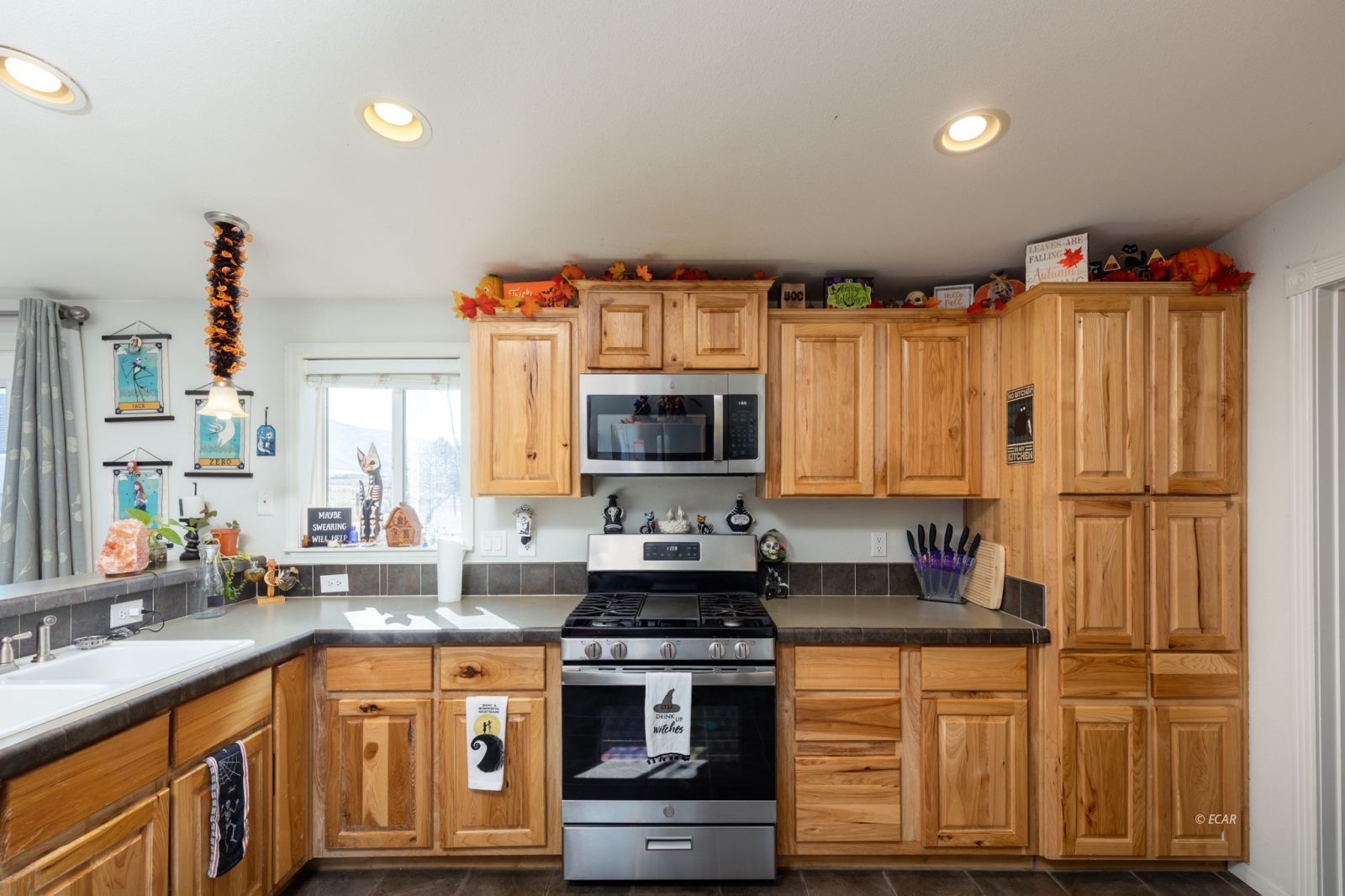 721 Aesop Drive Property Photo 13