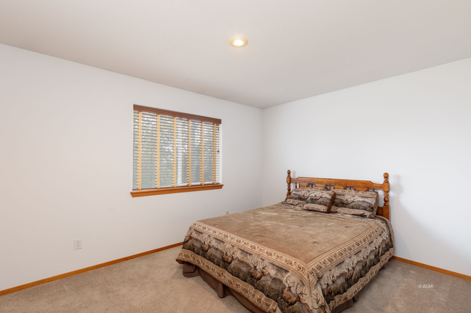 513 Sumac Drive Property Photo 19
