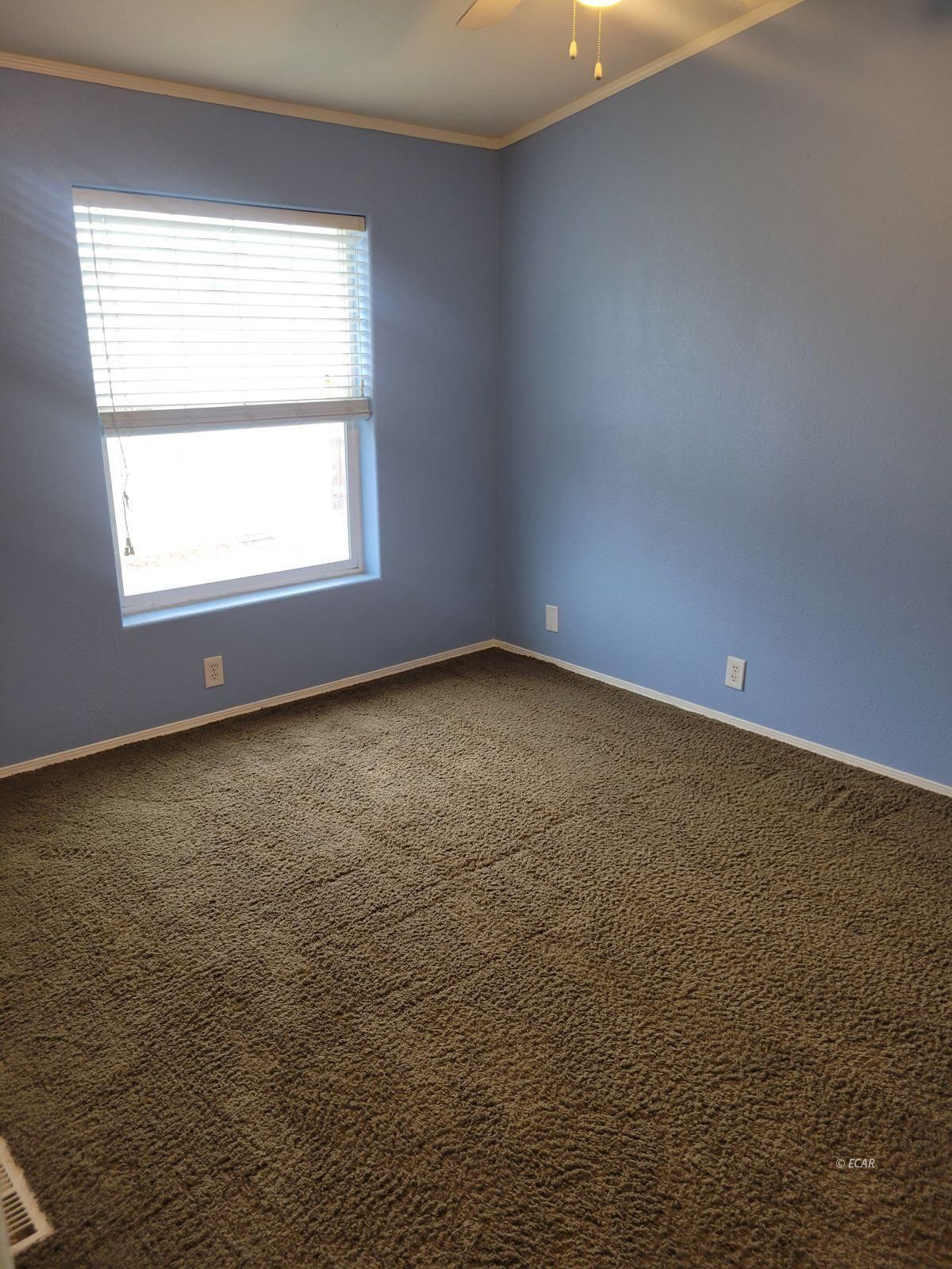 761 Hogan Street Property Photo 16