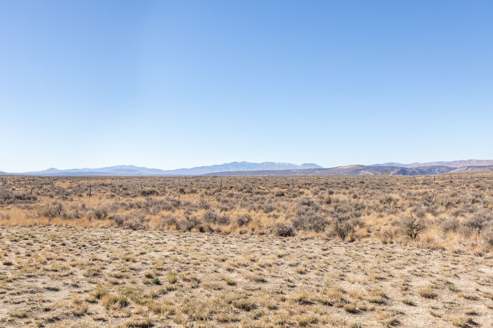 1775 Emigrant Trail Property Photo 38