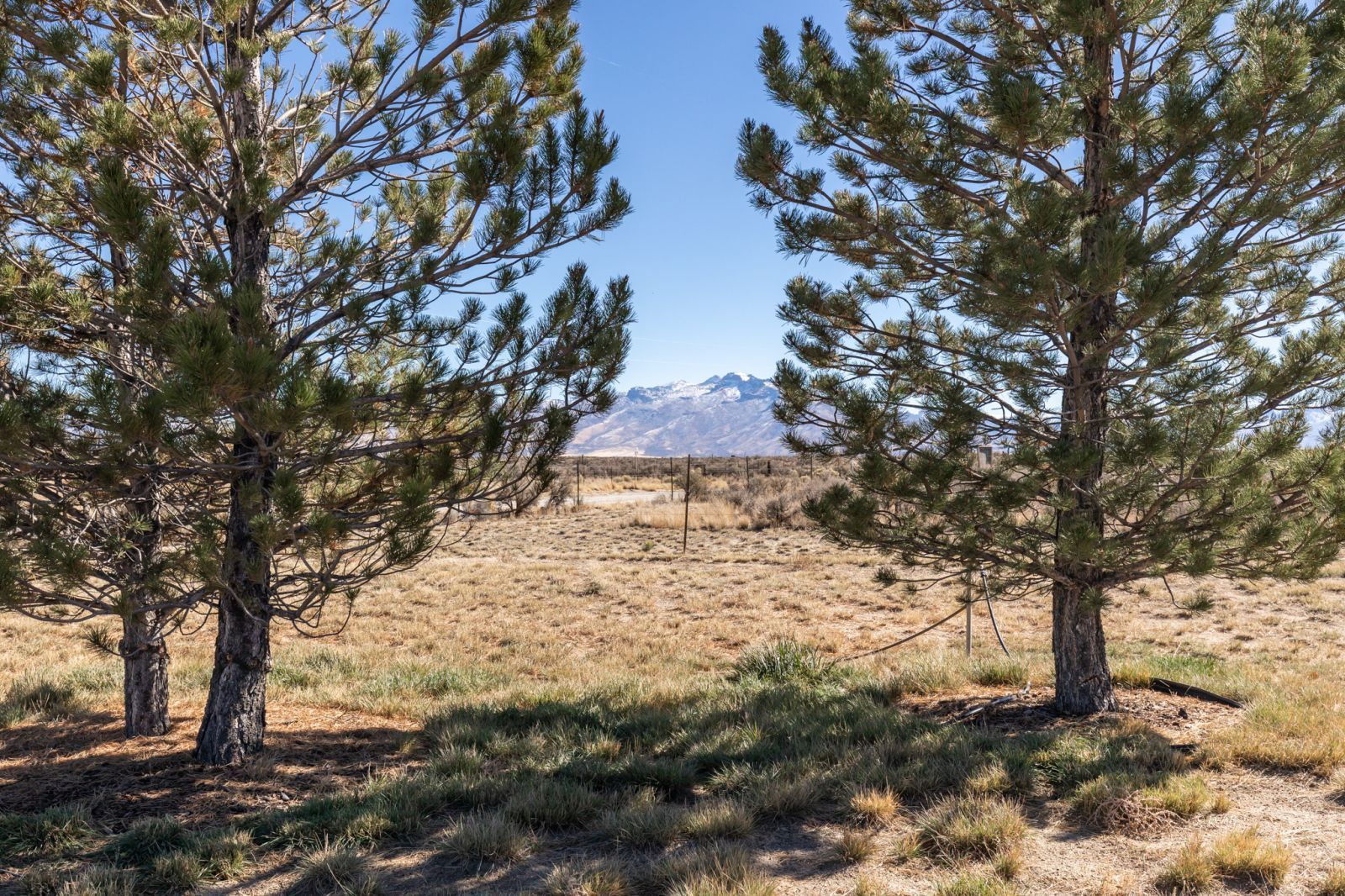 1775 Emigrant Trail Property Photo 40