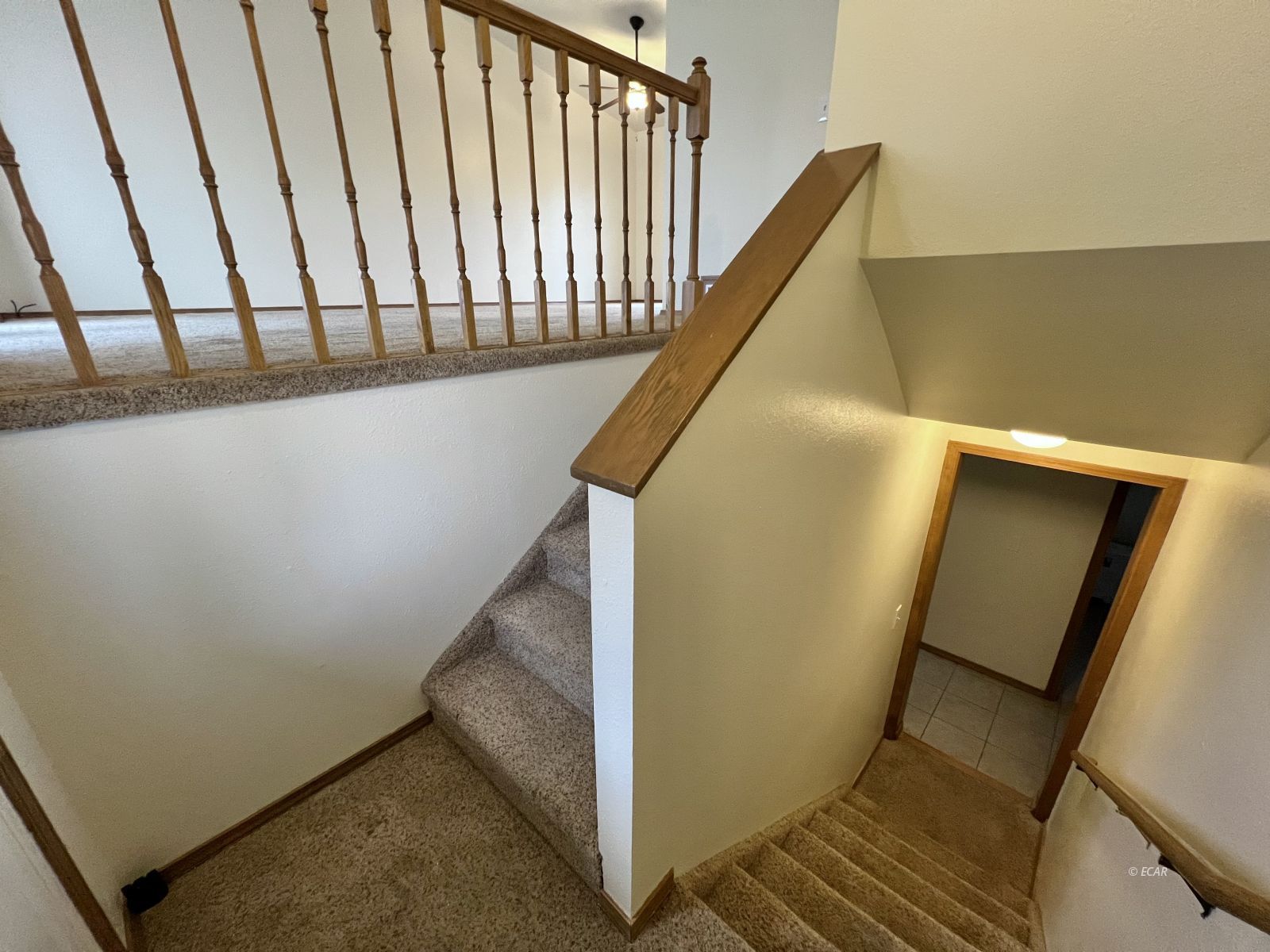 202 Charlwood Drive Property Photo 4