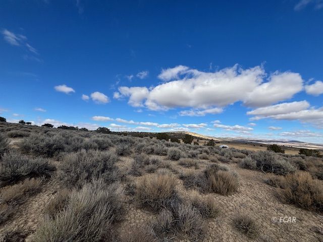 Tbd Lee Avenue Property Photo 3