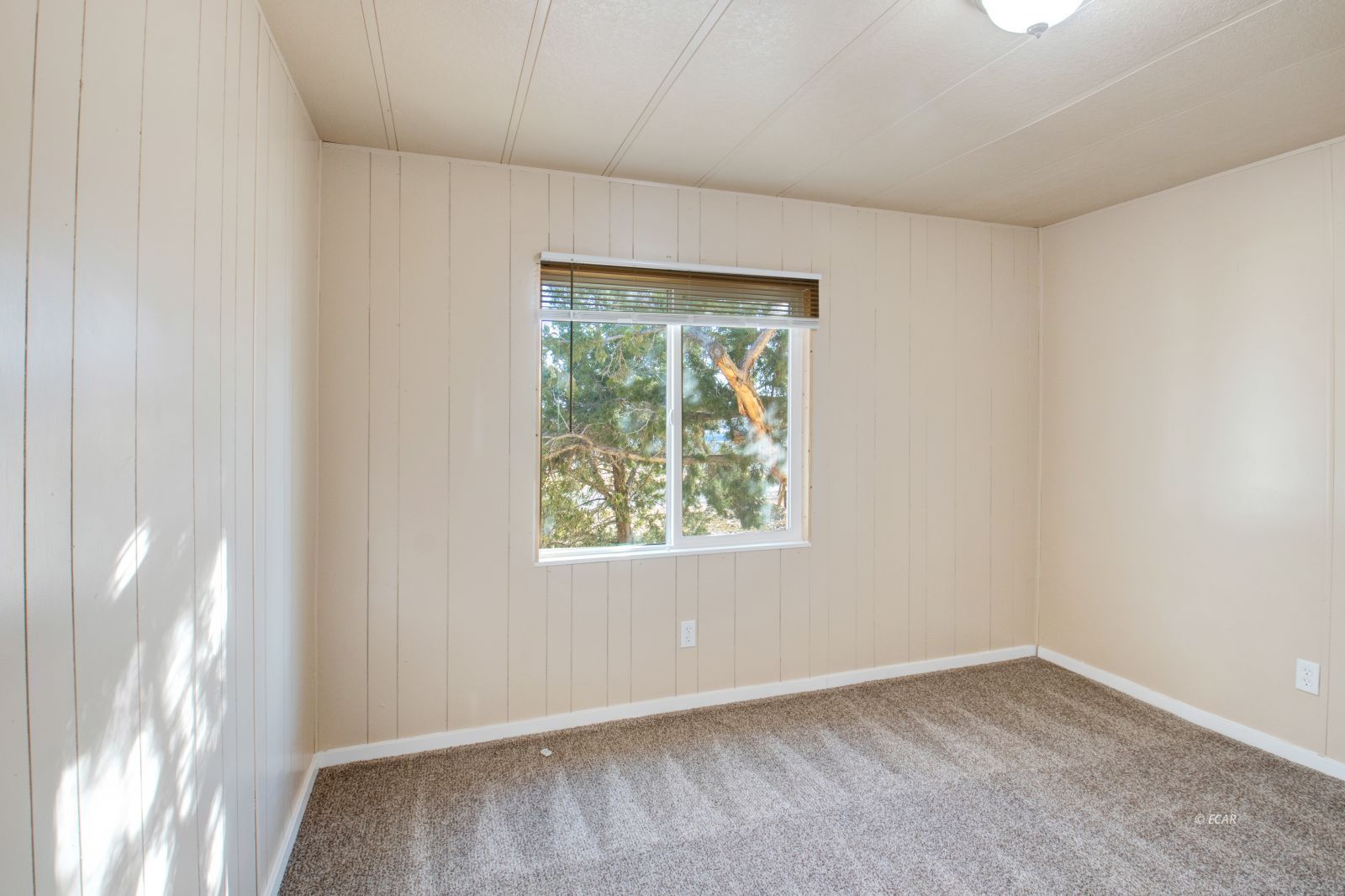 501 Pine Knot Drive Property Photo 25
