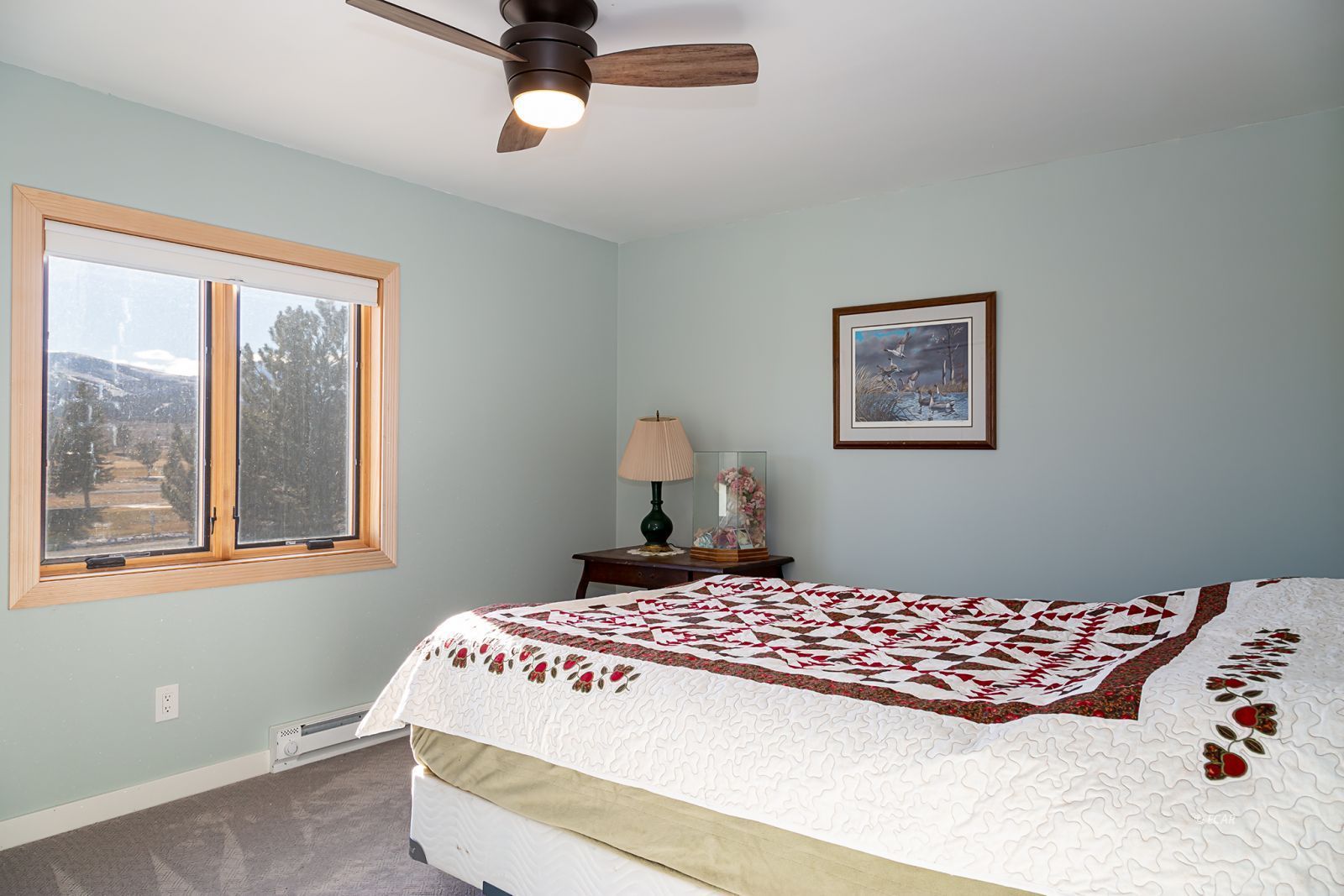 533 Hogan Street Property Photo 22