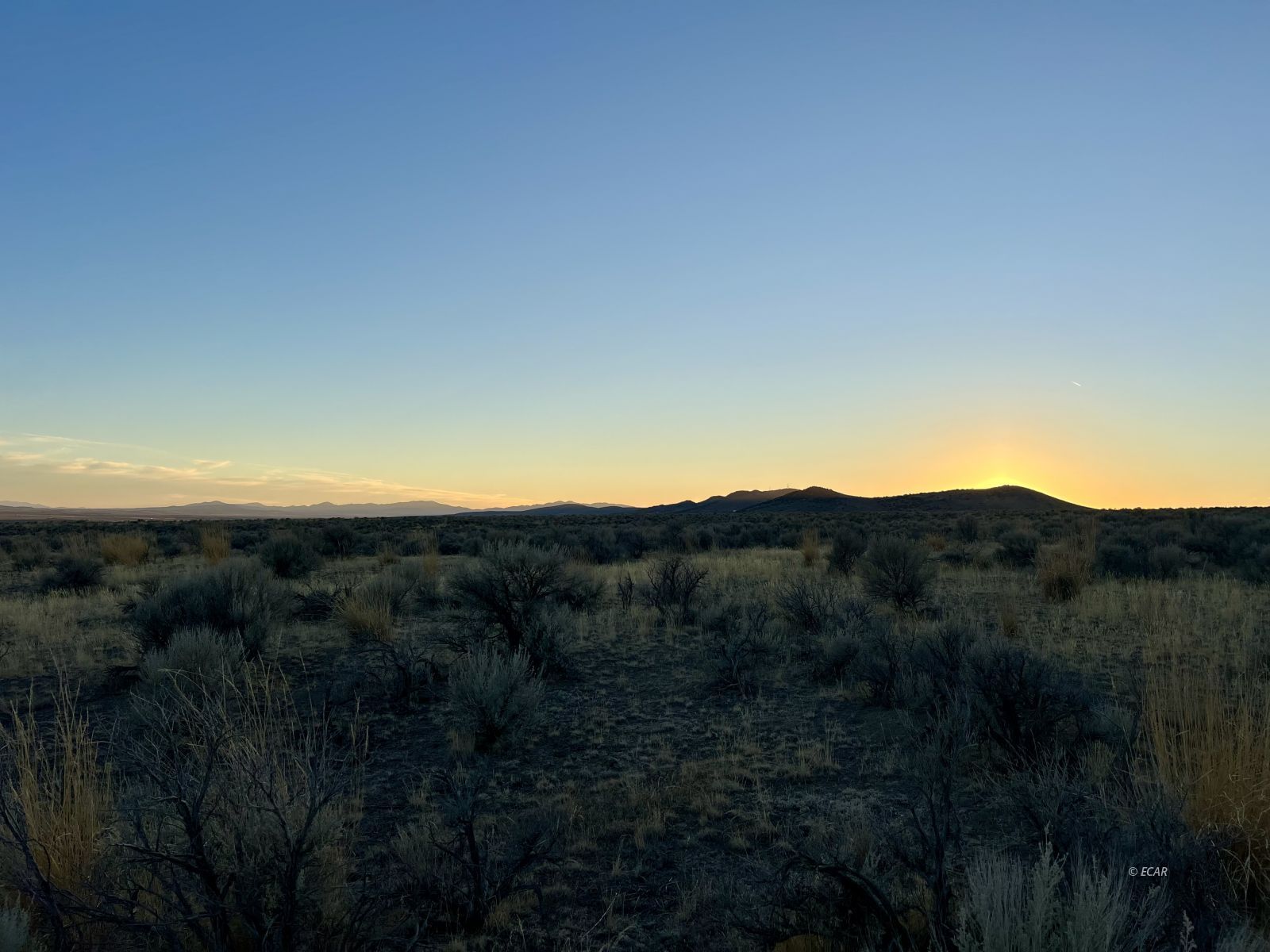 Diamond Avenue Property Photo