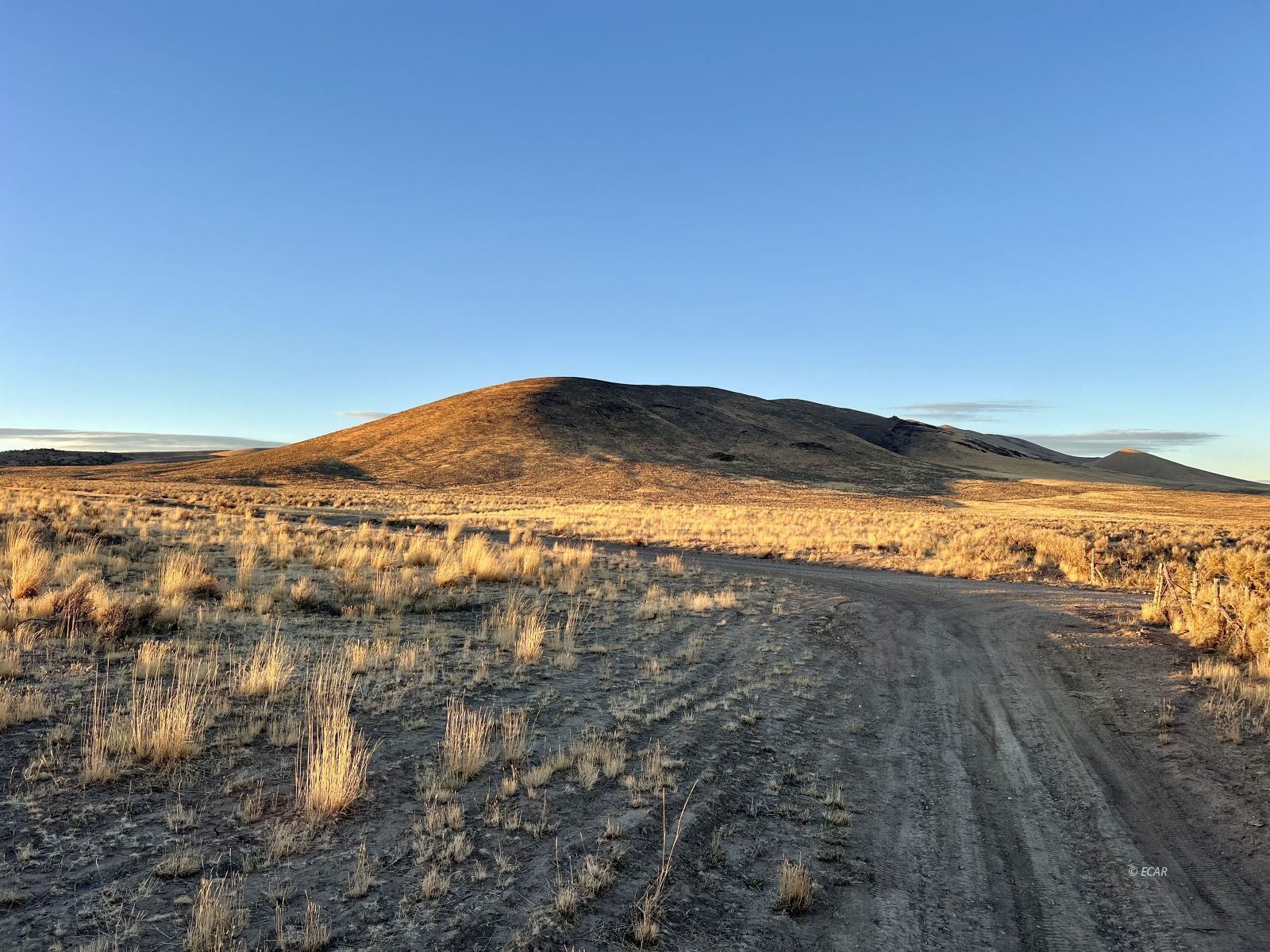 Opal Avenue Property Photo