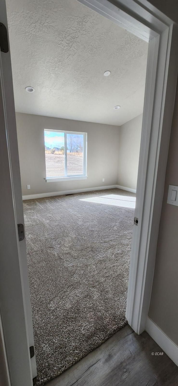 227 Spring Creek Parkway Property Photo 12