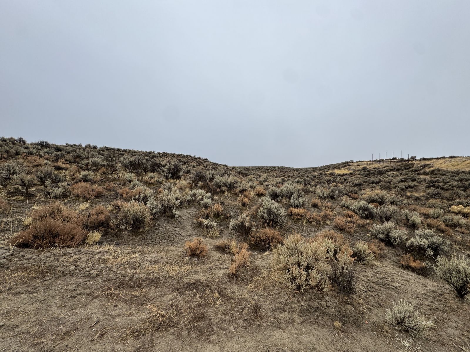 Rattlesnake Street Property Photo