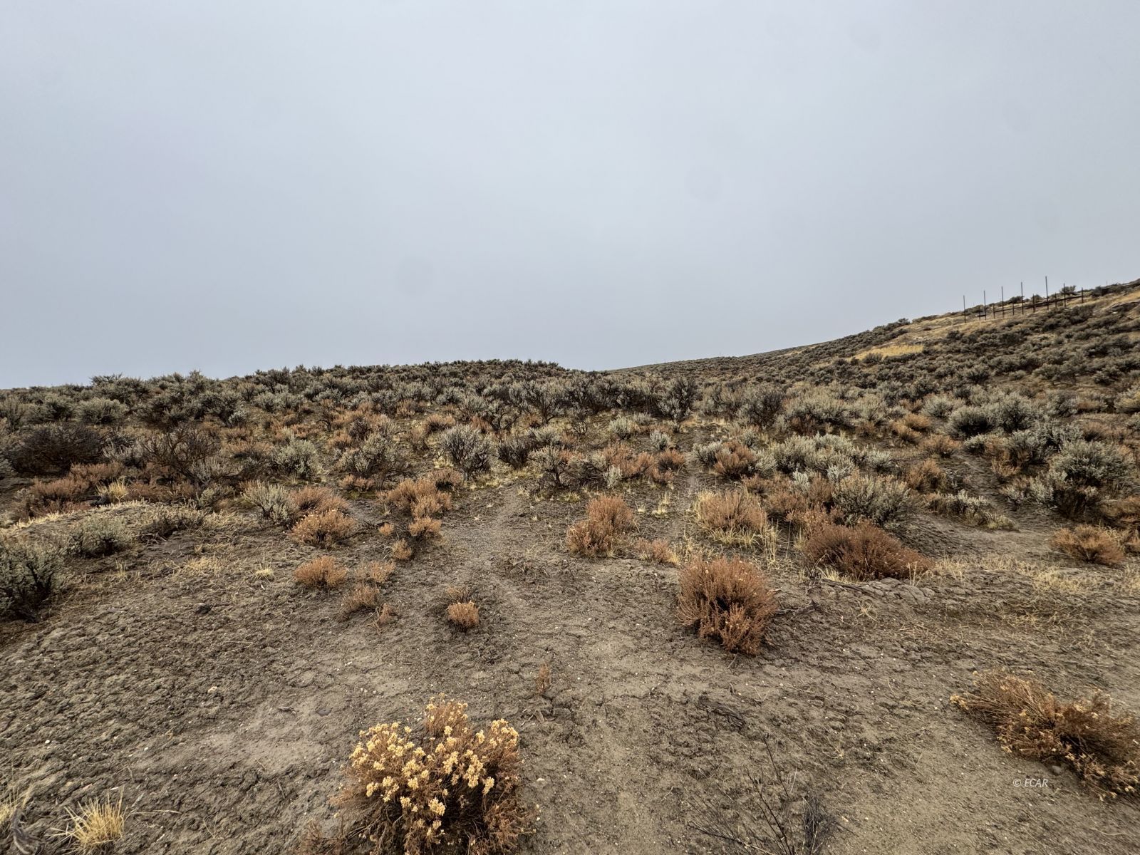 Rattlesnake Street Property Photo 2