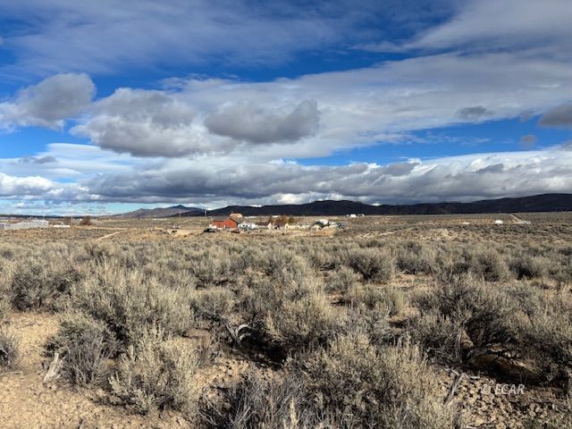 Rattlesnake Street Property Photo 11