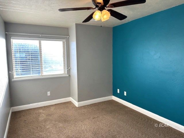 3706 Autumn Colors Drive Property Photo 17