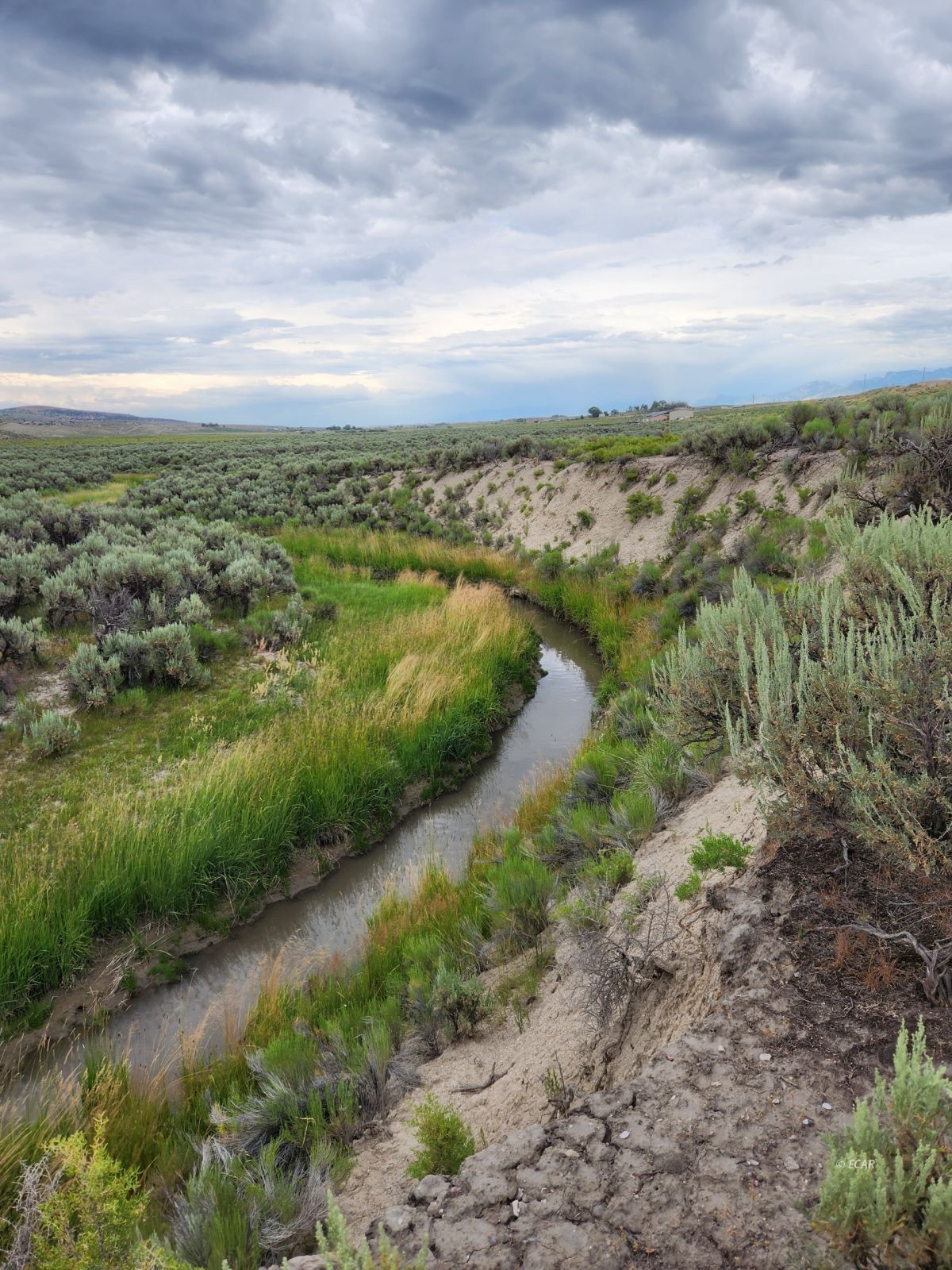 1019 Meadow View Drive Property Photo 42