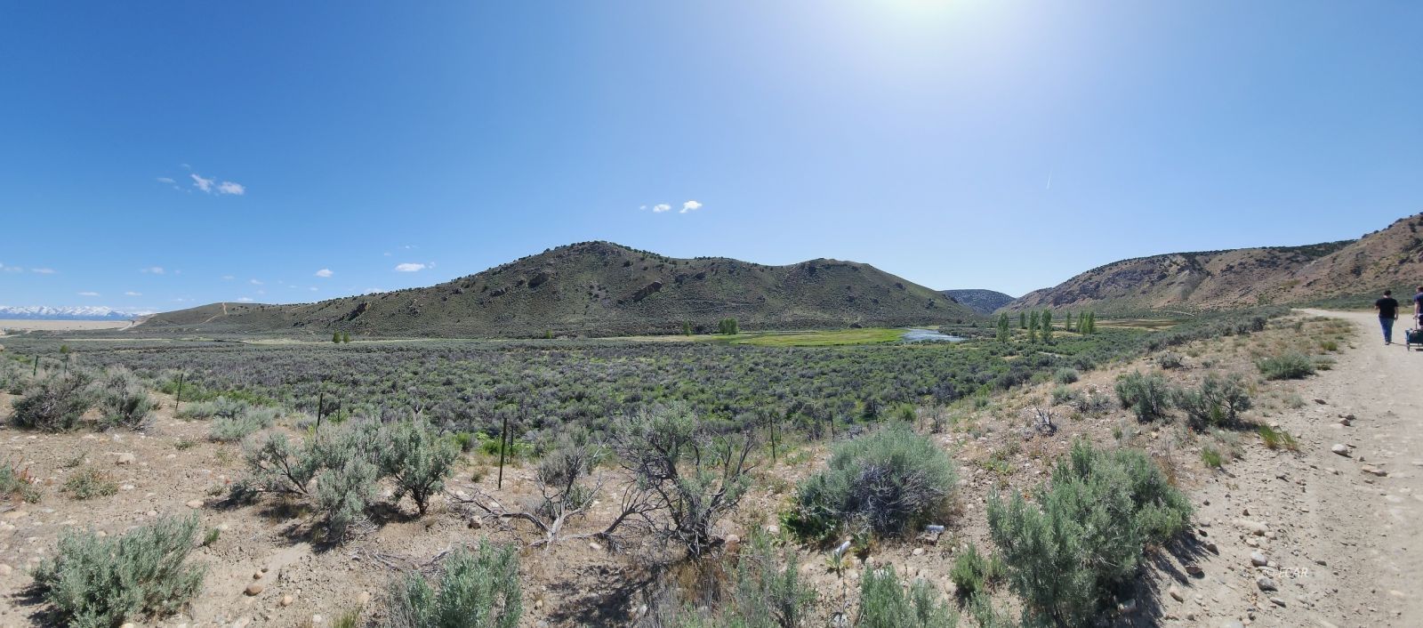 1019 Meadow View Drive Property Photo 43