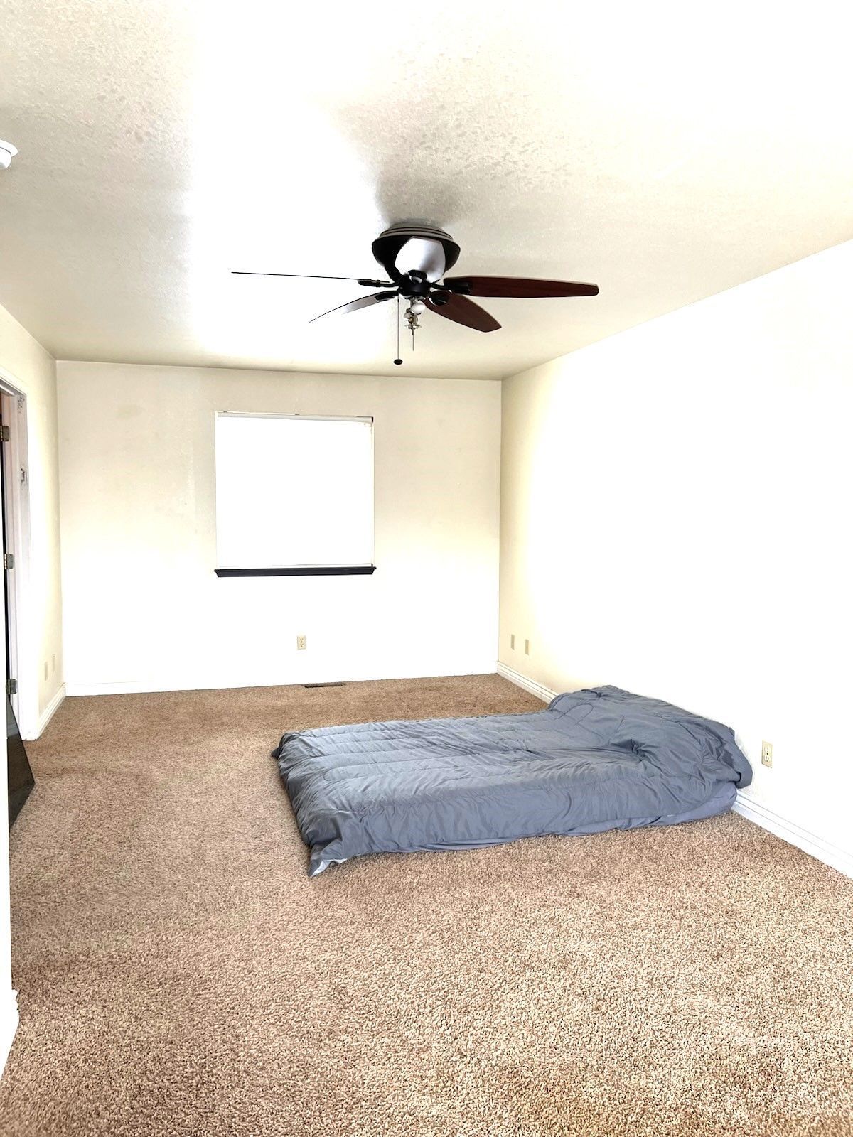 697 Clover Drive Property Photo 11