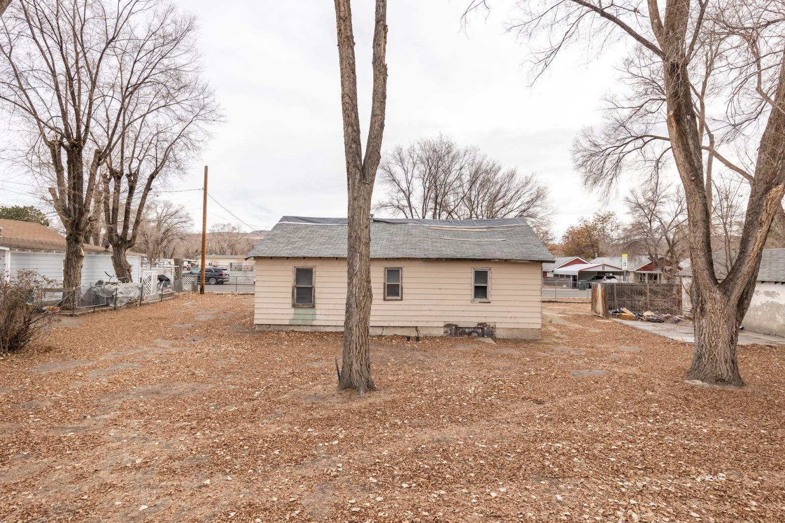 853 Wilson Avenue Property Photo 12