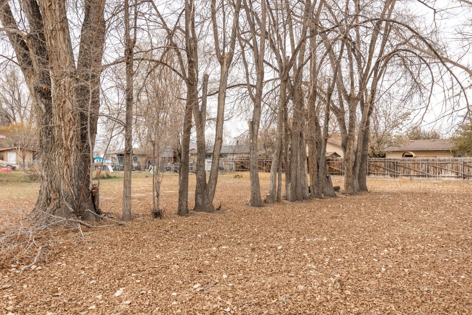 853 Wilson Avenue Property Photo 16
