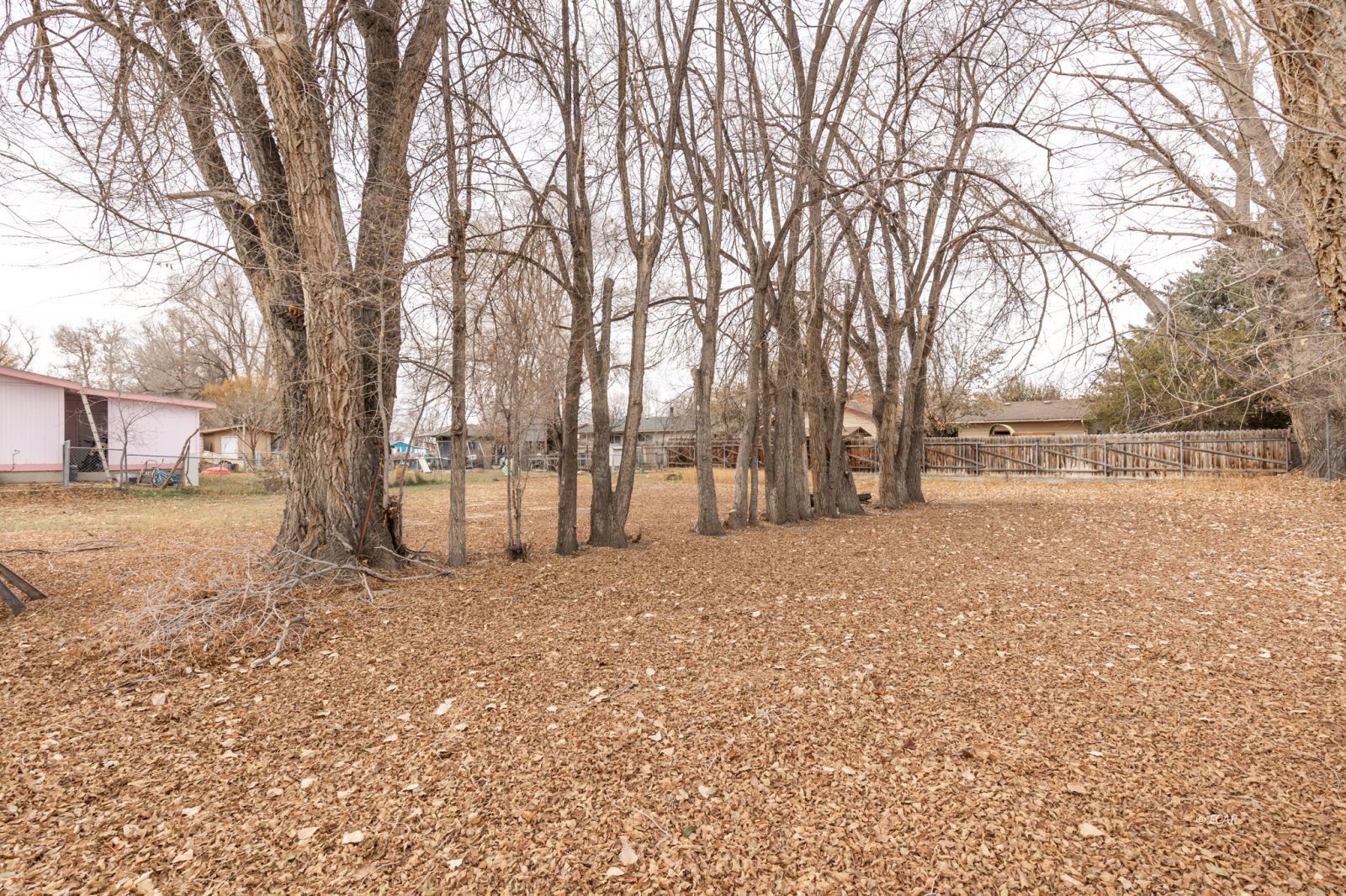 853 Wilson Avenue Property Photo 17