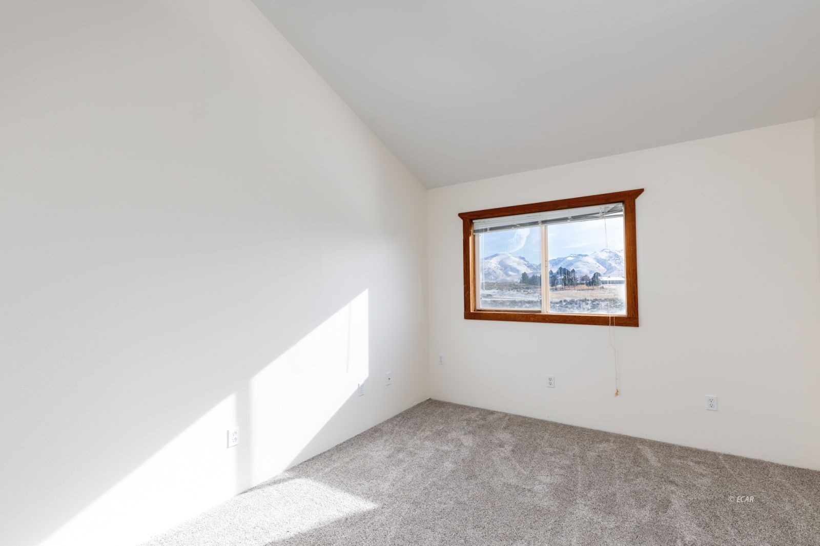 469 Frisco Drive Property Photo 34