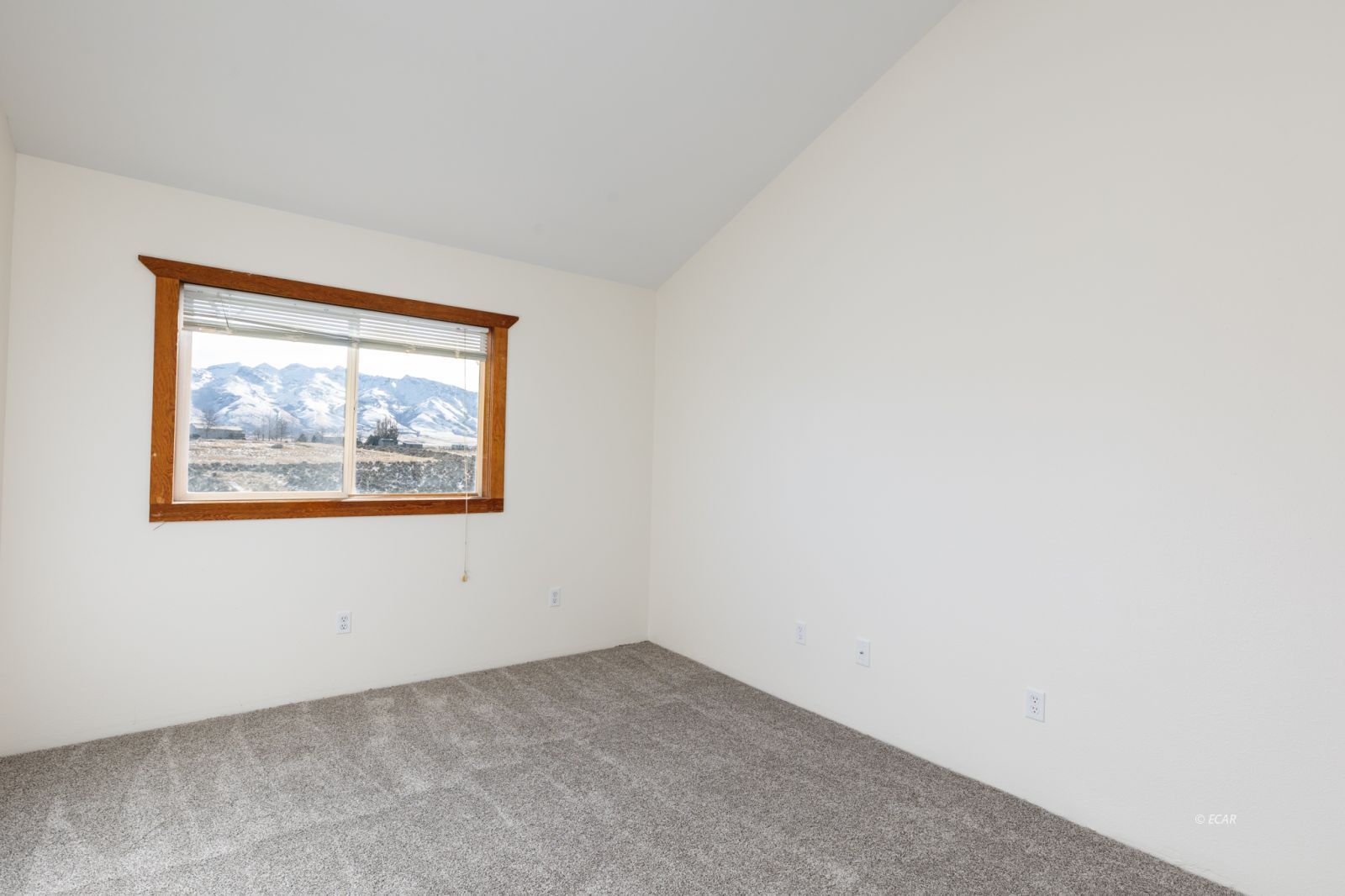 469 Frisco Drive Property Photo 36