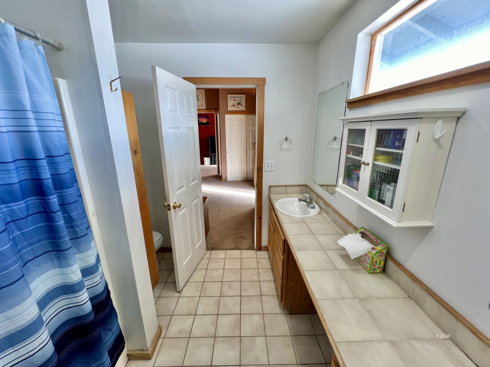 890 Alpine Drive Property Photo 19