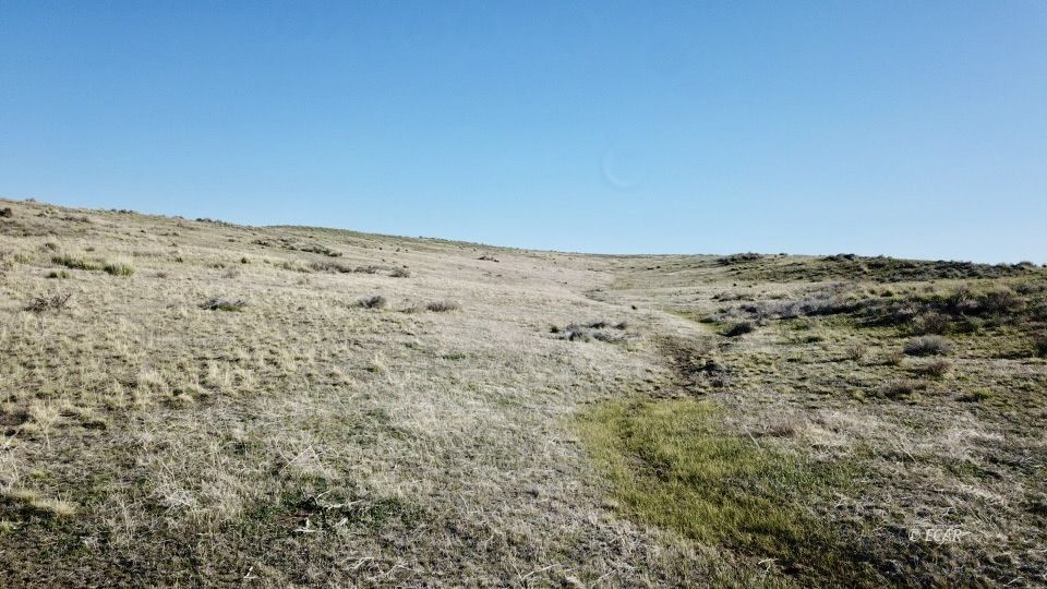 40 Acre Off Charleston-deeth Road Property Photo