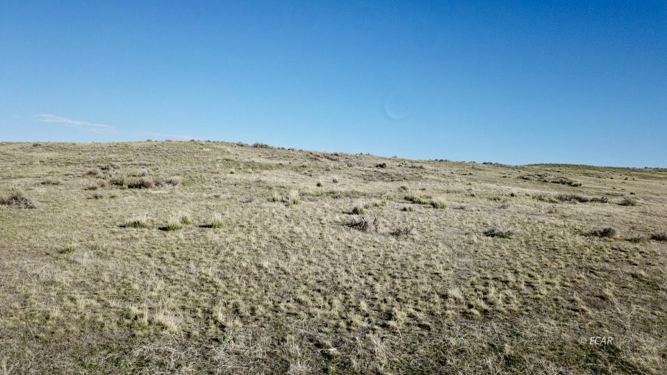 40 Acre Off Charleston-deeth Road Property Photo 4