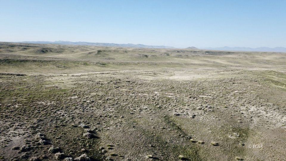 40 Acre Off Charleston-deeth Road Property Photo 12