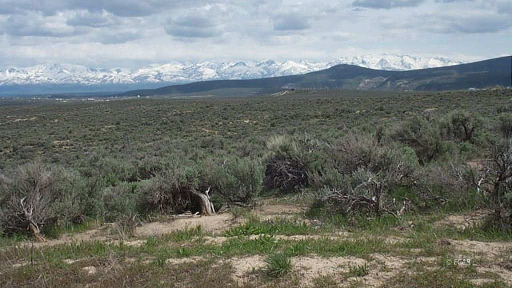 Ruby View Ranchos 4 Real Estate Listings Main Image