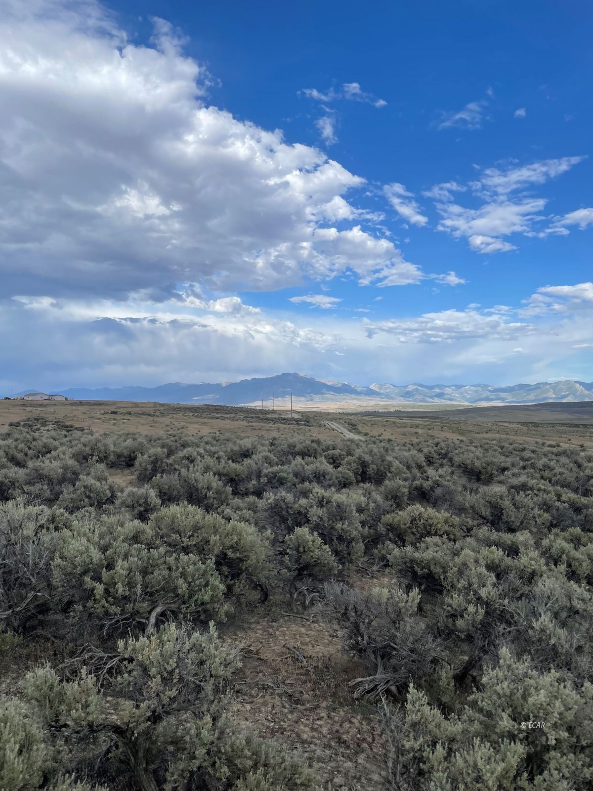 Sherman Avenue Property Photo