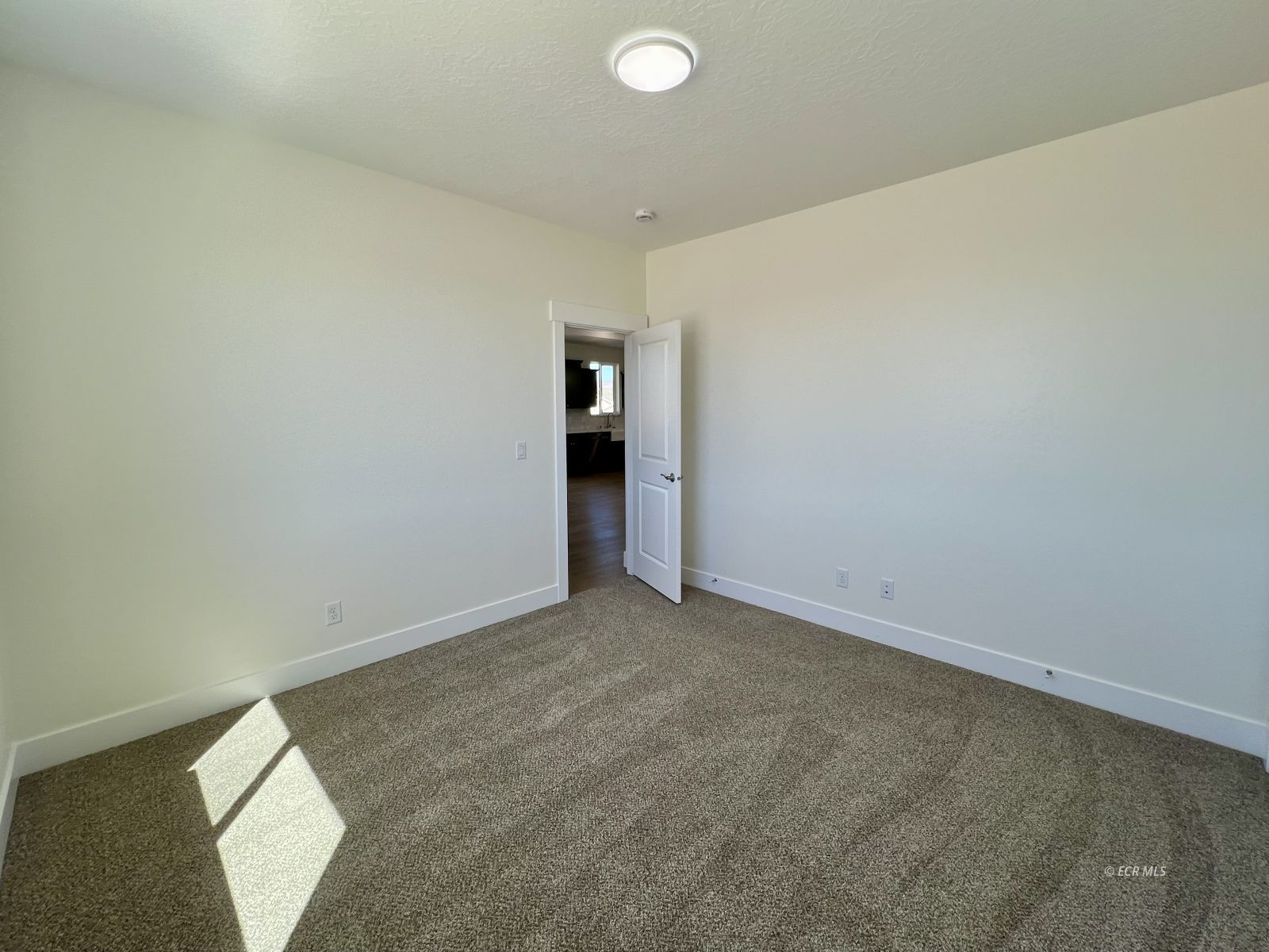 4307 Campbell Road Property Photo 15